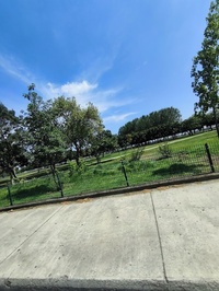 ADA GARDEN RESTORAN