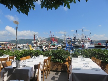Aquarius balık