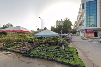 BİTKİ CAFE