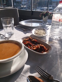 Doğan Usta