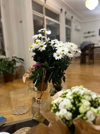 ENY STUDIO