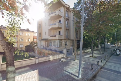 Esila Ev - Ofis Taşıma