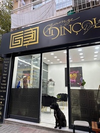 Gamze Dinçol beauty