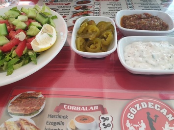 Gözdecan Restaurant ve Araç Kiralama Şirketi