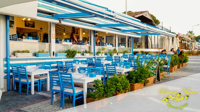 Limon Ağacı Kadınlar Denizi Cafe & Bar