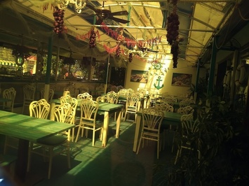 Nuh Balık Evi