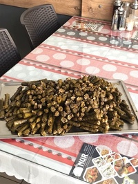 Nur gozleme ev yrmekkeri
