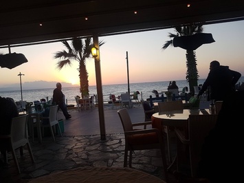 Palm Beach Cafe Restaurant-bar