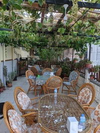 Sarmaşık Cafe