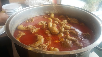 Şırdancı