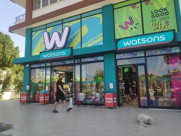 Watsons