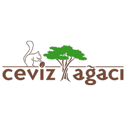 Ceviz Ağacı